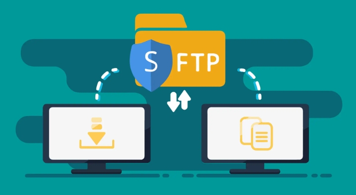 插图.png 插图.png